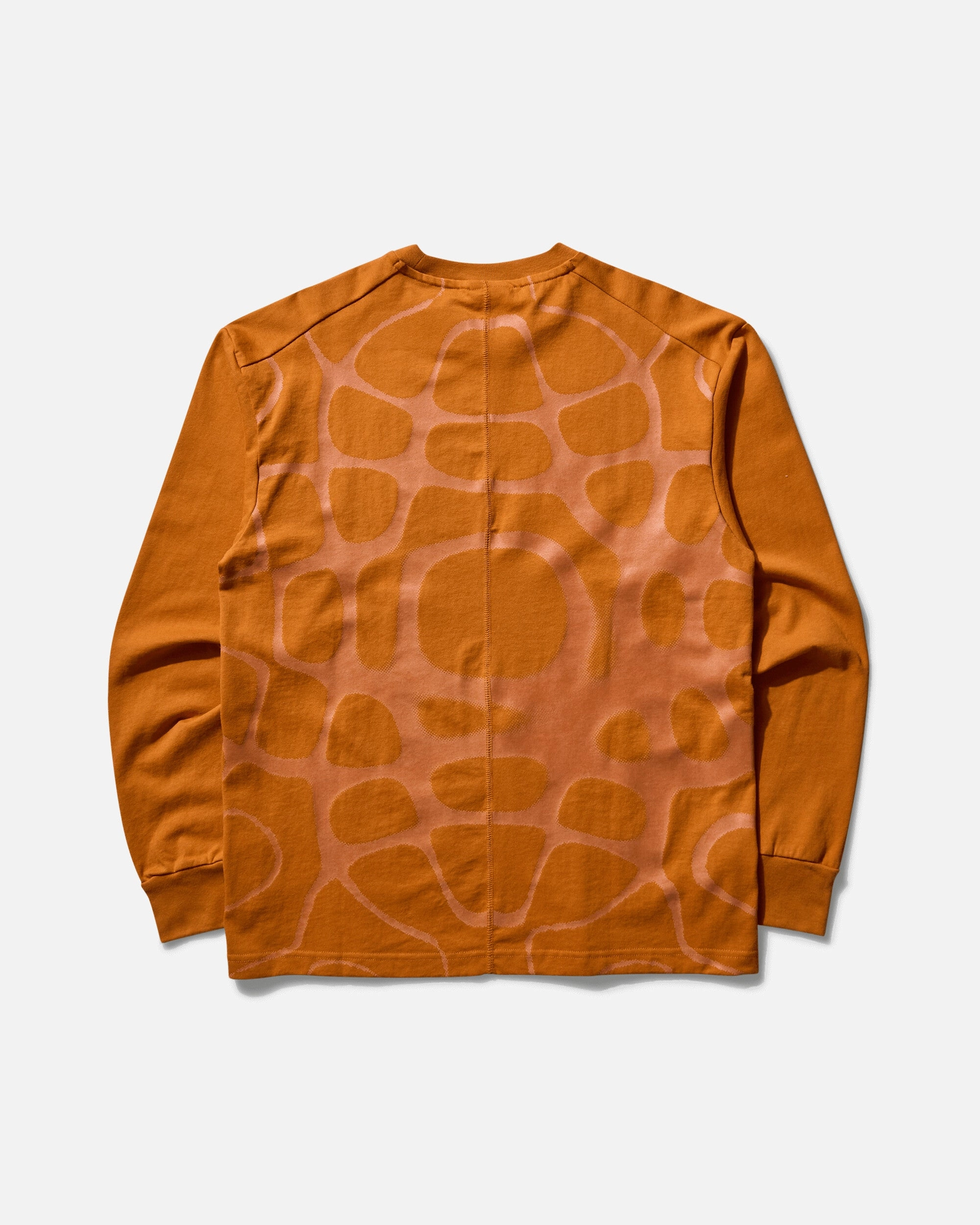 Men's ISPA Protect Sense Longsleeve T-Shirt Monarch